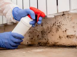 Best Asbestos and Lead Testing During Mold Inspection  in Labelle, FL